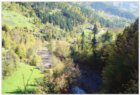 Kaya Barajı ve Hidroelektrik Santrali - Kastamonu